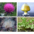 Milk thistle extract for protecting liver